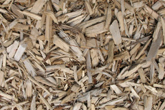 biomass boilers Monea